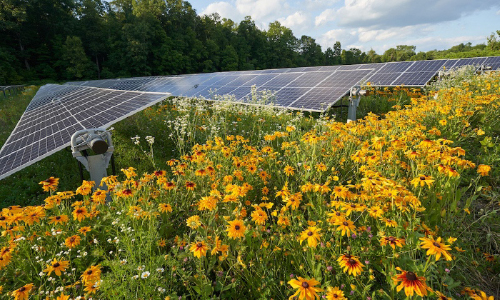 Denison University Solar Array