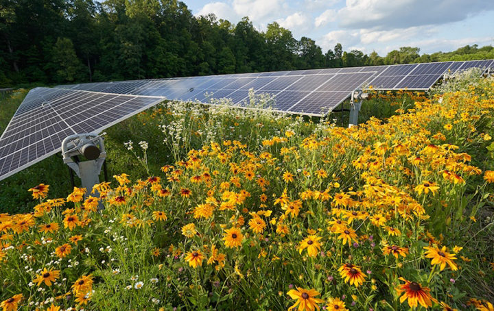 Denison University Solar Array